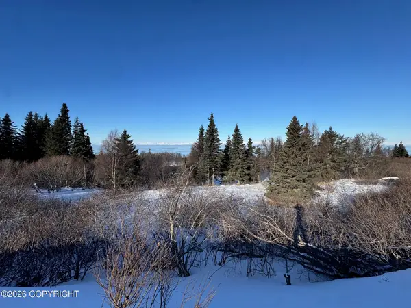 L6 Mead Court, Clam Gulch, AK 99568