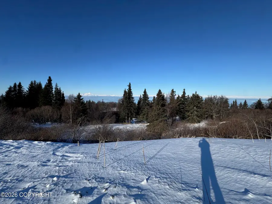 L6 Mead Court, Clam Gulch, AK 99568 - #2