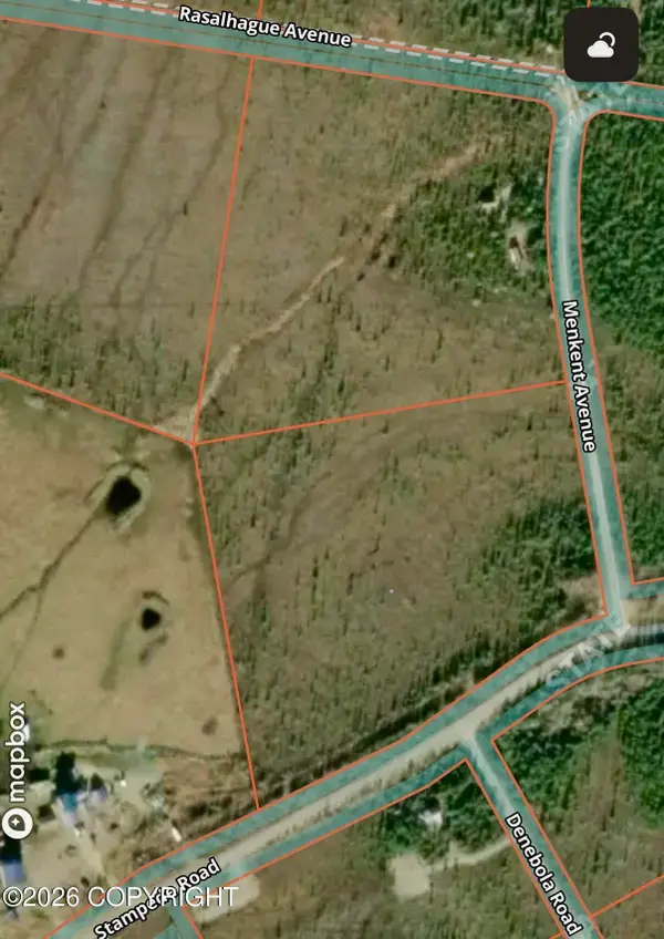 0000 Stampede Road, Healy, AK 99743