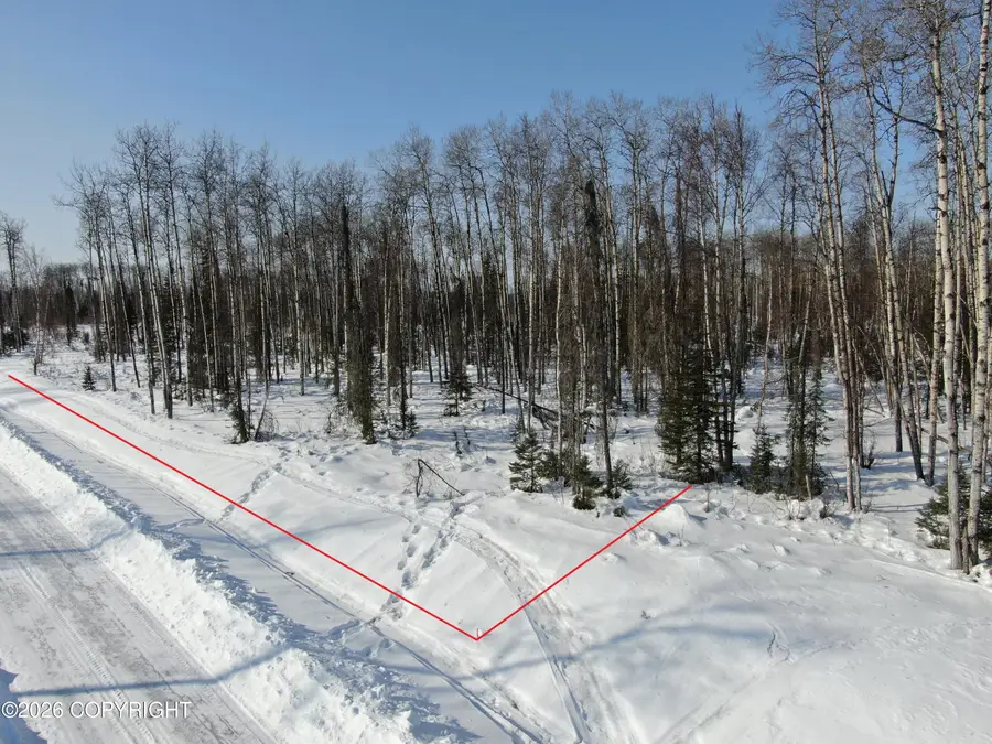 17825 E Yeldarb Avenue, Talkeetna, AK 99676 - #2