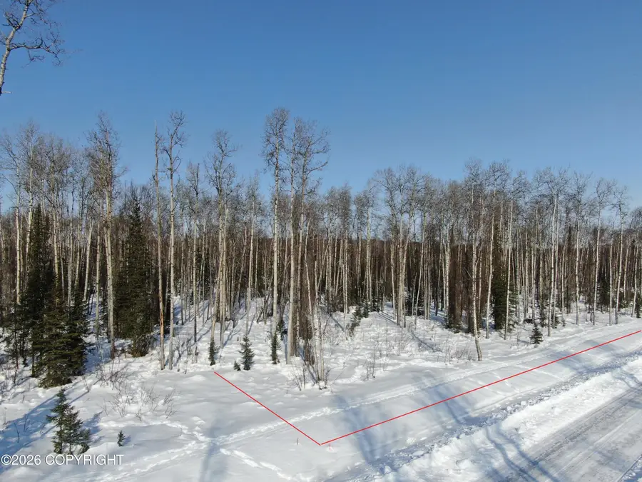 17825 E Yeldarb Avenue, Talkeetna, AK 99676 - #3