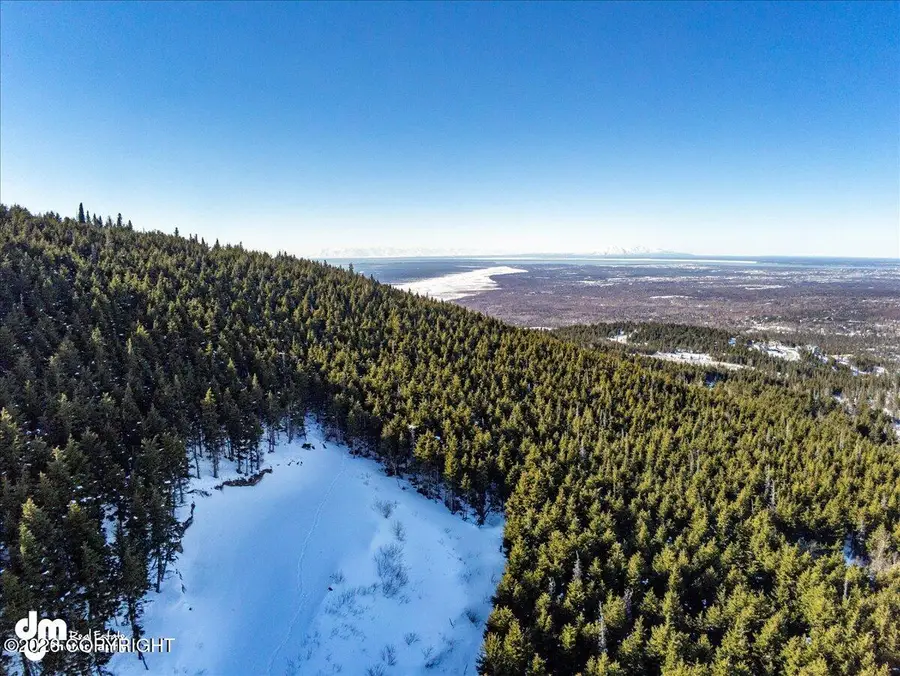 L3 Paine Circle, Anchorage, AK 99516 - #3
