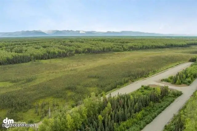 2207 N Saige Boulevard, Houston, AK 99694 - #2