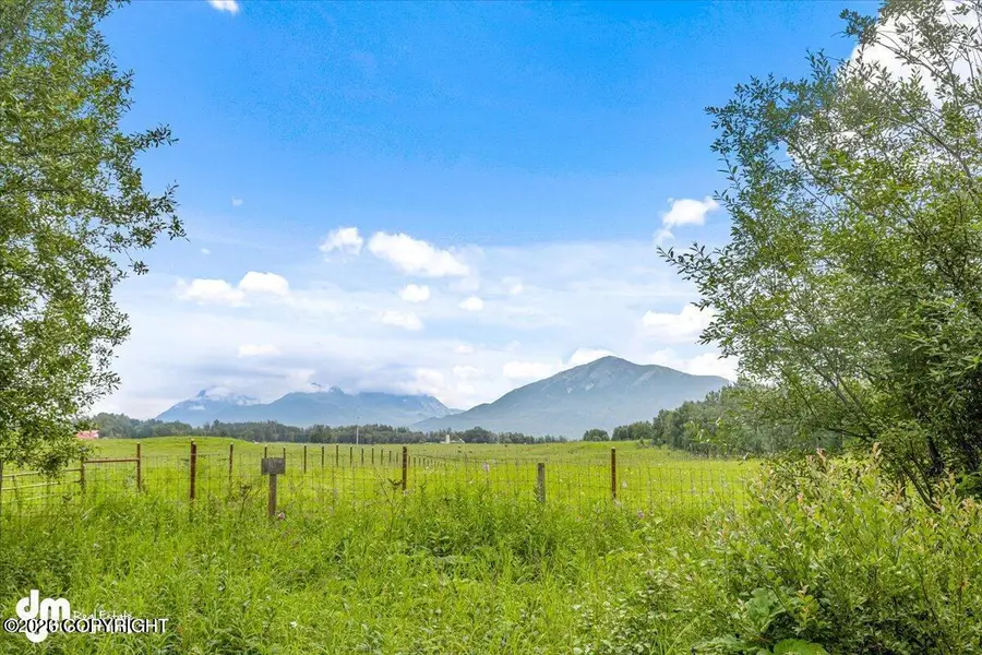 4493 Ryder Drive, Palmer, AK 99645 - #3