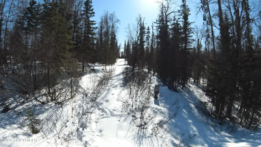 49083 Dallas Avenue, Nikiski, AK 99635 - #3