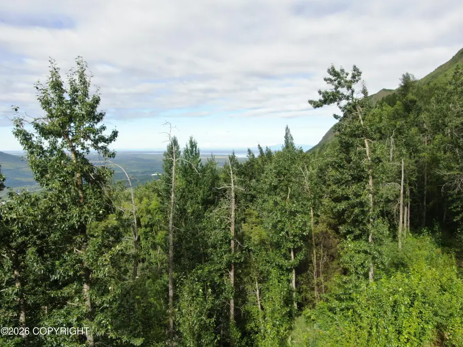 #1 Mile Hi Way, Eagle River, AK 99577 - #2