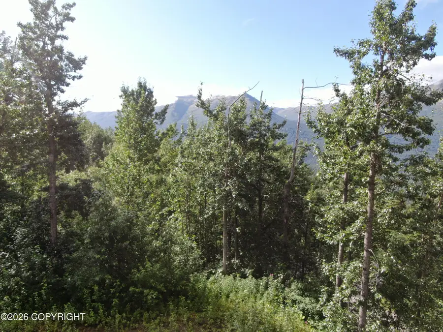 #1 Mile Hi Way, Eagle River, AK 99577 - #3