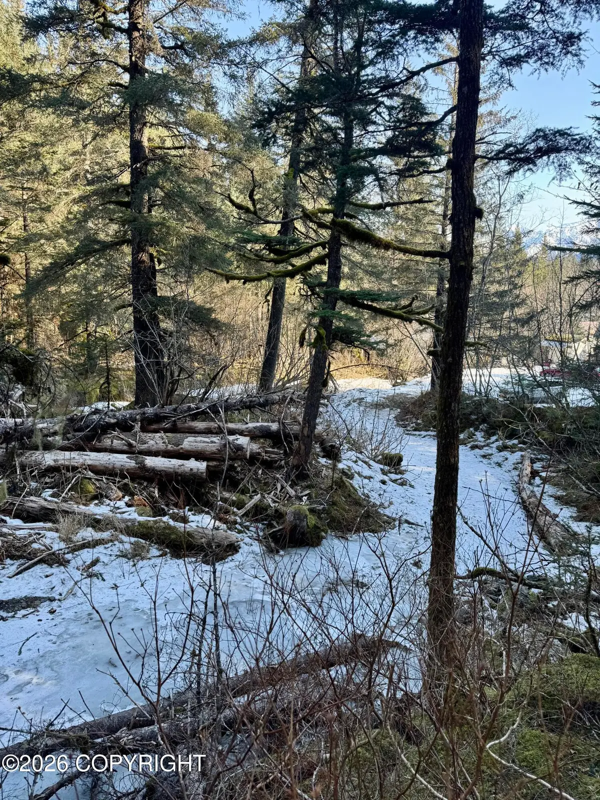 1617 Harold Avenue, Seward, AK 99664 - #1