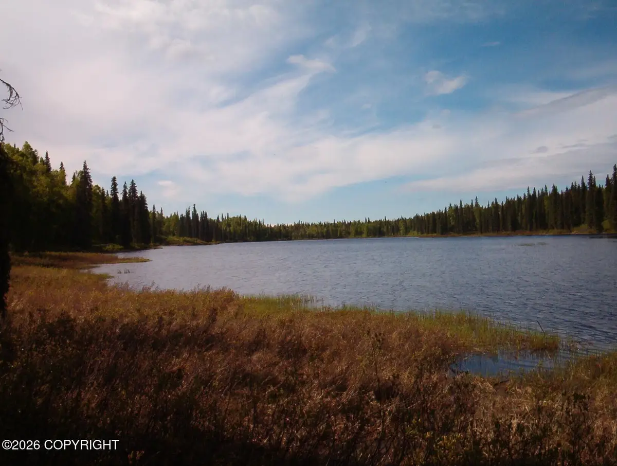 76-153 Tract A Hornet Lake Lakefront, Trapper Creek, AK 99683 - #1