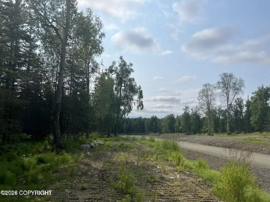 10351 N Hatchers Flight Lp, Palmer, AK 99645 - #2