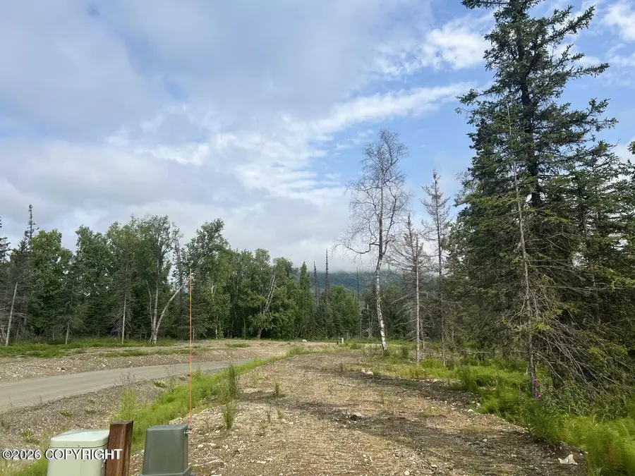 10351 N Hatchers Flight Lp, Palmer, AK 99645 - #3