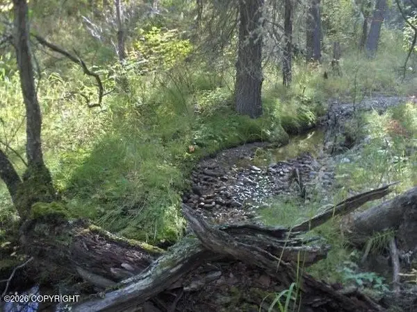 2003-16 E No Rd Ridge Rock Cabin Sites, Healy, AK 99743