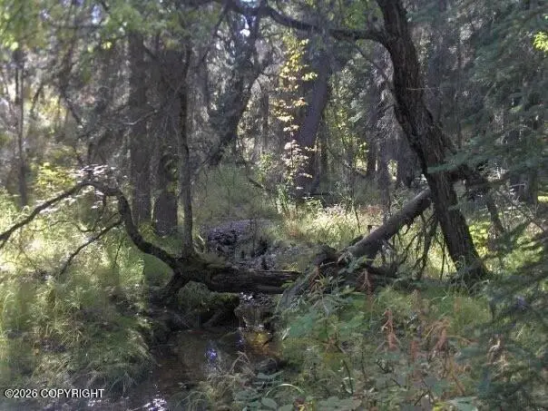 2003-16 E No Rd Ridge Rock Cabin Sites, Healy, AK 99743 - #2