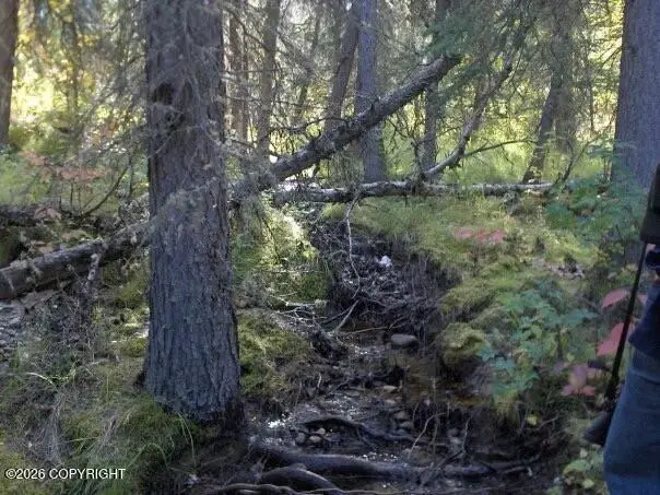 2003-16 E No Rd Ridge Rock Cabin Sites, Healy, AK 99743 - #3