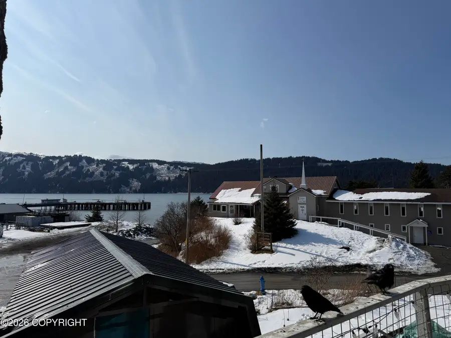 356 Illiamna Street, Seldovia, AK 99663 - #2