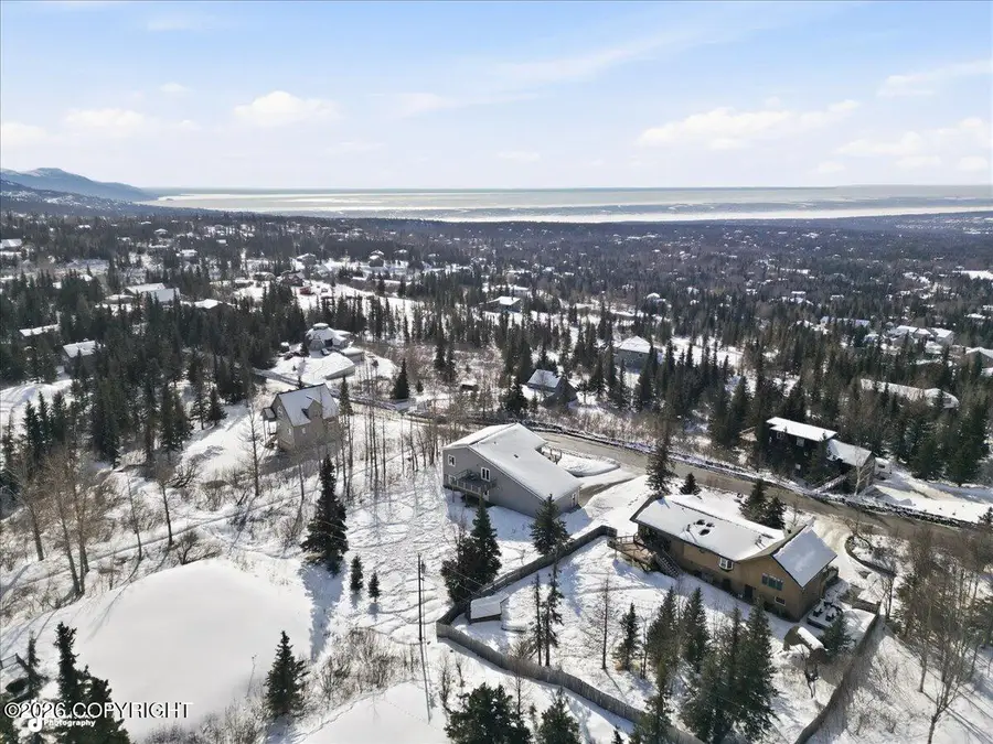 11371 Cobra Street, Anchorage, AK 99507 - #2