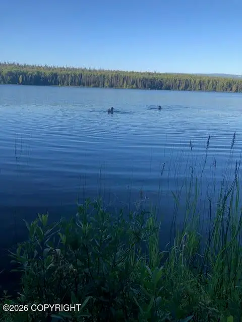 No Road Susitna Lake Road, Glennallen, AK 99588
