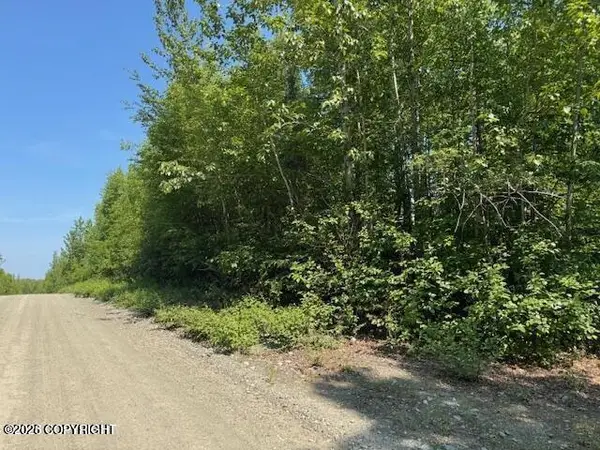 39578 & 39 S Malaspina Loop, Talkeetna, AK 99676