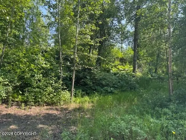 39578 & 39 S Malaspina Loop, Talkeetna, AK 99676 - #3