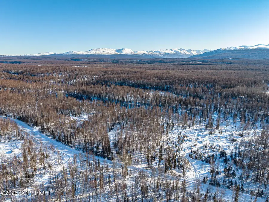 NHN E Ridge Lane, Willow, AK 99688 - #2