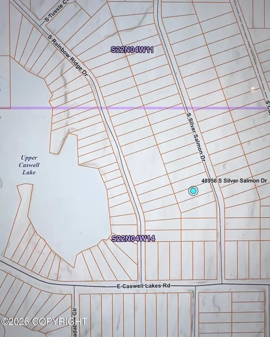 48956 S Silver Salmon Drive, Willow, AK 99688 - #2