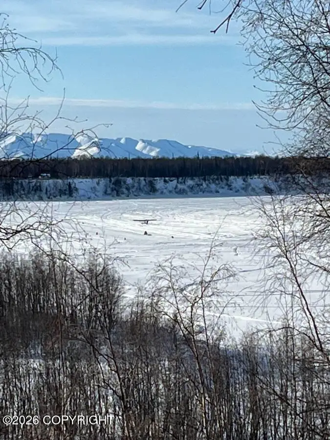 Tr E-2 Big Bend, Willow, AK 99667 - #1