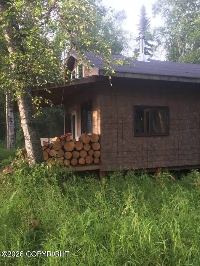 Tr E-2 Big Bend, Willow, AK 99667 - #3