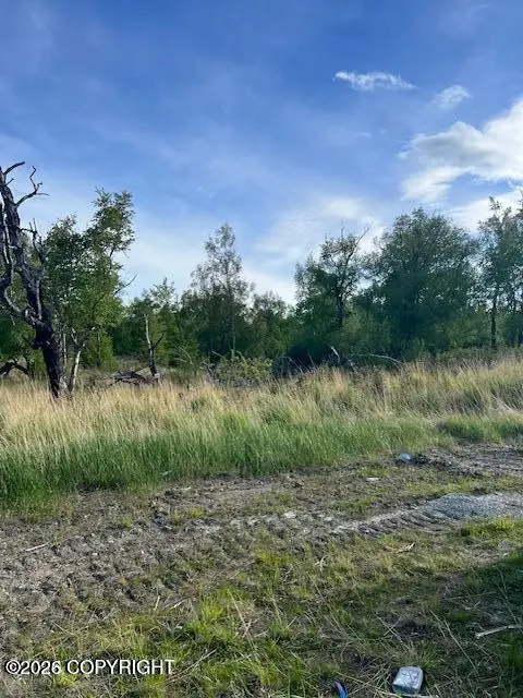 L4 B7 E Blue Atlas Circle, Palmer, AK 99645 - #1