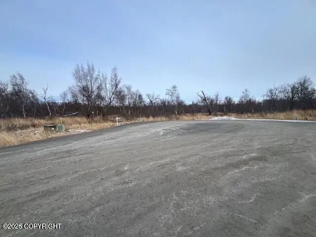L4 B7 E Blue Atlas Circle, Palmer, AK 99645 - #2