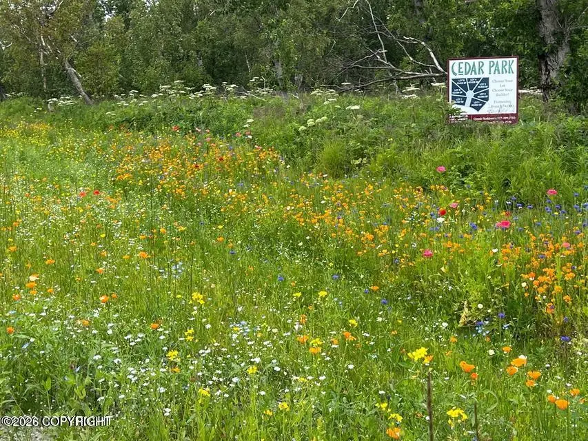 L6 B7 E Blue Atlas Circle, Palmer, AK 99645 - #1