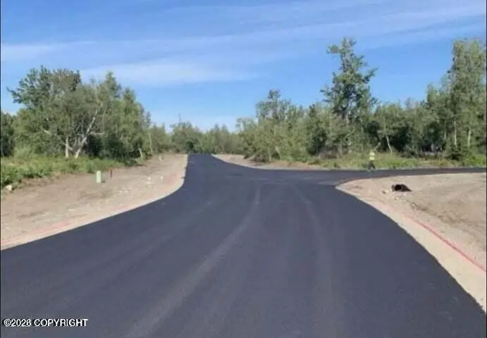 L6 B7 E Blue Atlas Circle, Palmer, AK 99645 - #3