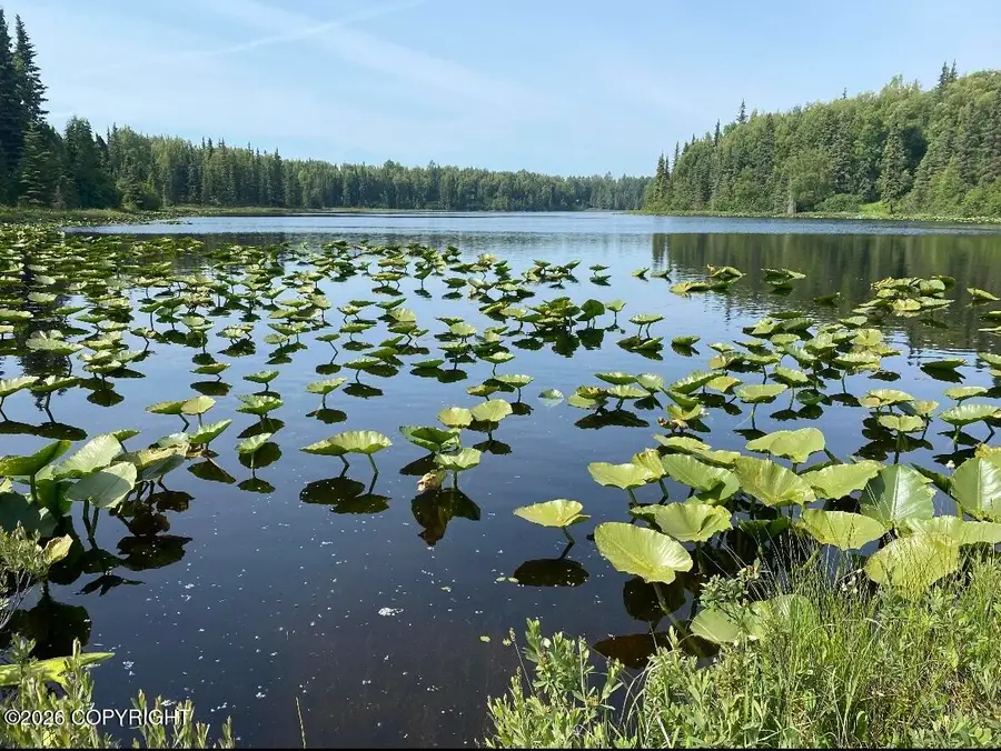 24555 Constellation Road, Kasilof, AK 99610 - #2