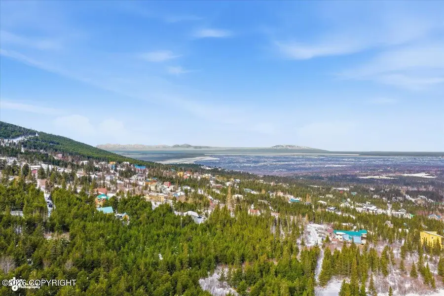 L2A L3A L4 A L5a Rabbit Creek View Drive, Anchorage, AK 99516 - #2