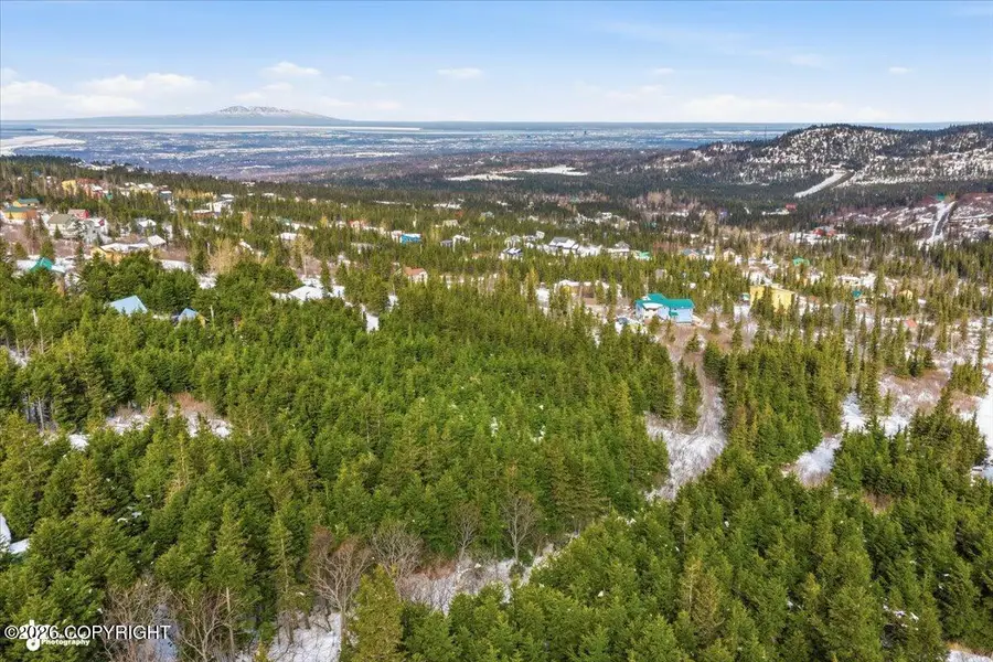 L2A L3A L4 A L5a Rabbit Creek View Drive, Anchorage, AK 99516 - #3