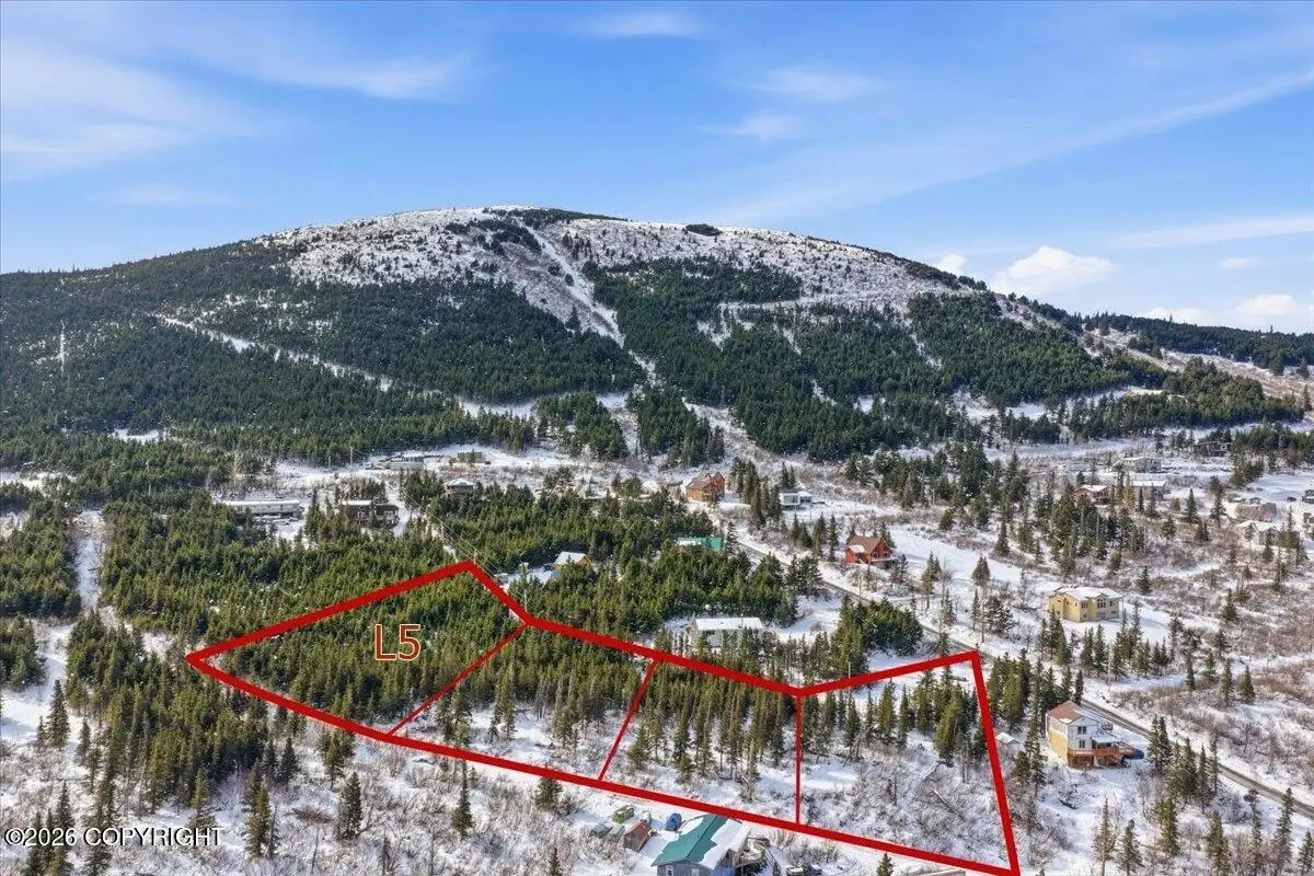L5 B11H Rabbit Creek View Drive, Anchorage, AK 99516 - #1