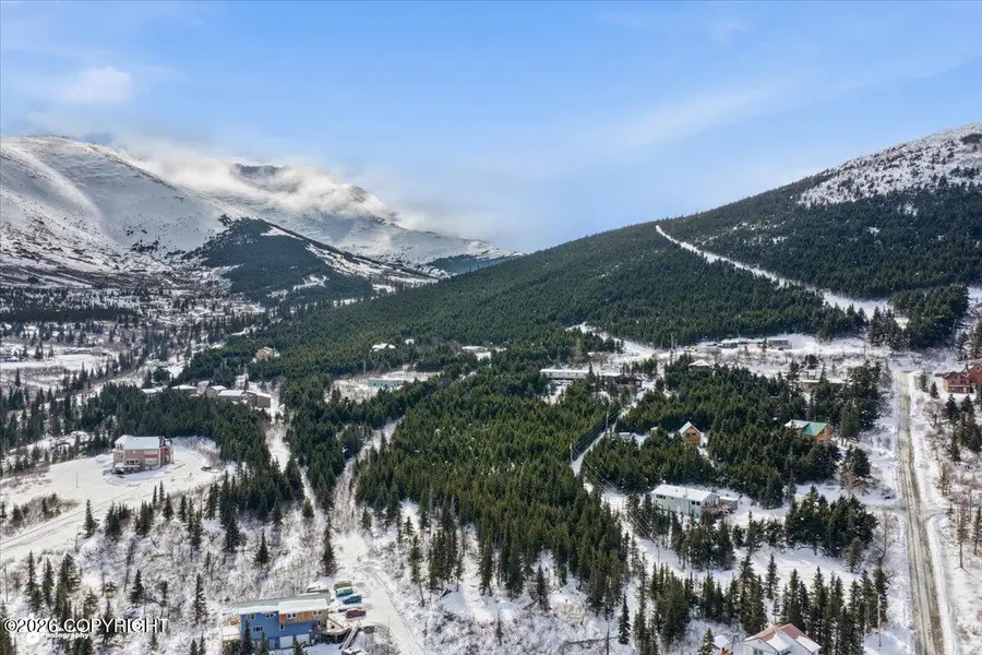 L4A B11H Rabbit Creek View Drive, Anchorage, AK 99516 - #3