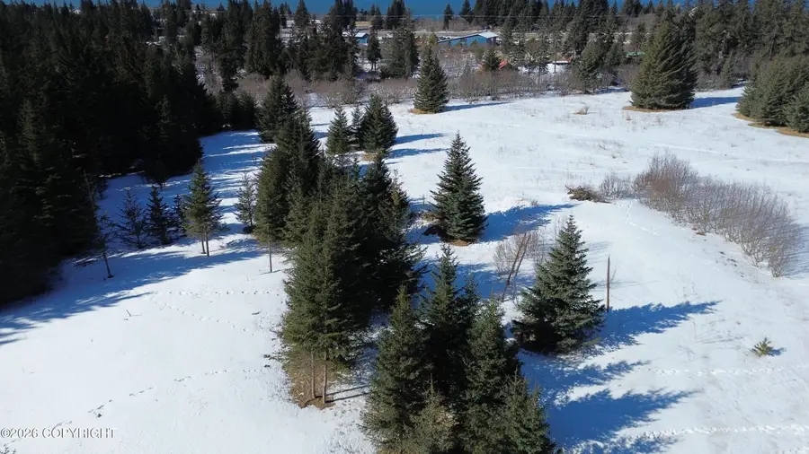 32179 Pacific Park Street, Anchor Point, AK 99556 - #3