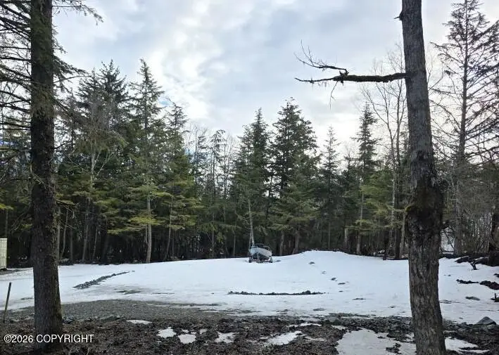 L1-3 BN S 3rd Avenue, Haines, AK 99827 - #2