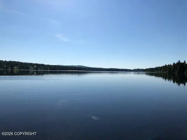 NO ROAD Shell Lake Lot 59d, Skwentna, AK 99667 - #2