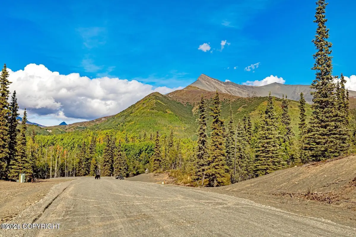 L7 S Red Rooster Road, Chickaloon, AK 99674 - #1