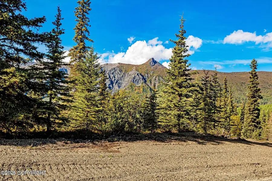 33739 W Arnica Avenue, Chickaloon, AK 99674 - #3