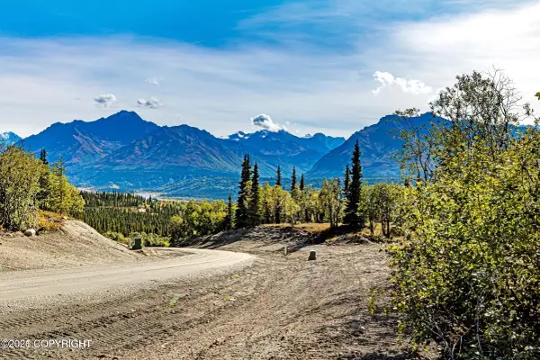 63270 S Red Rooster Road, Chickaloon, AK 99674