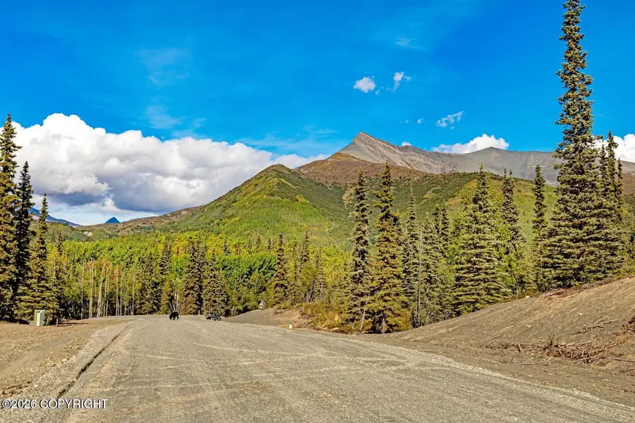 63270 S Red Rooster Road, Chickaloon, AK 99674 - #2
