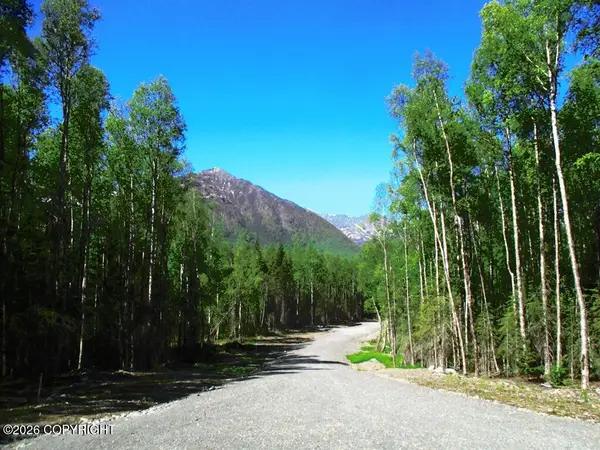 25075 Saxton Drive, Hope, AK 99605