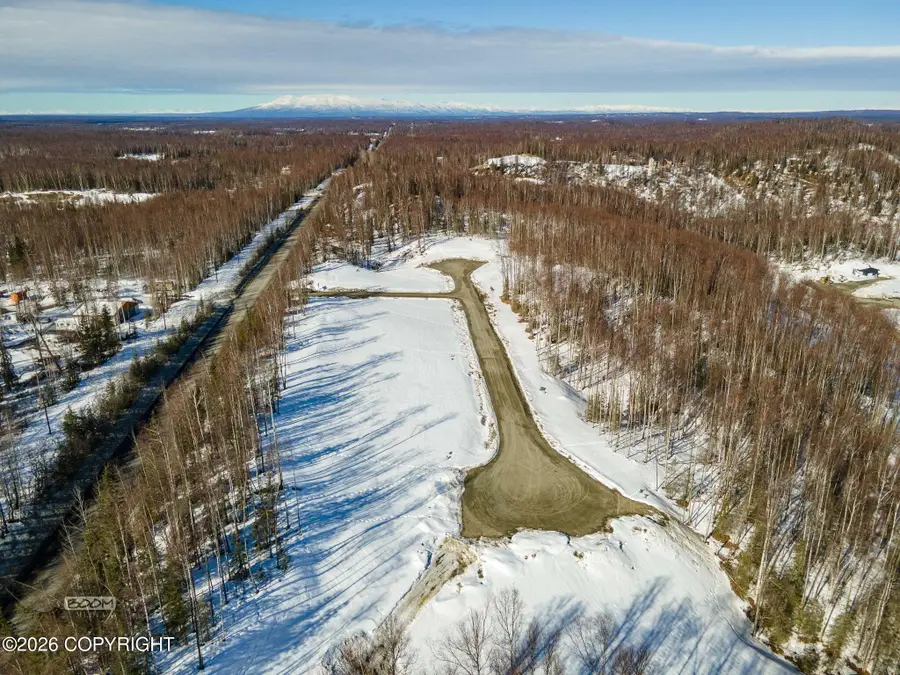 20137 W Kvichak Circle, Big Lake, AK 99652 - #3