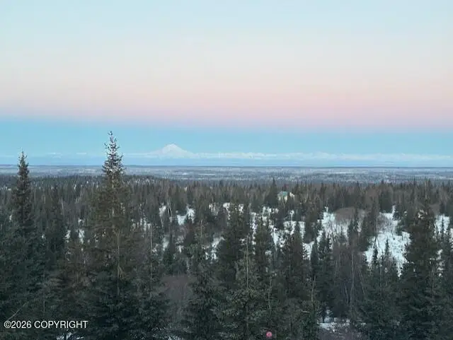 14993 Jesses Trail, Ninilchik, AK 99639 - #2