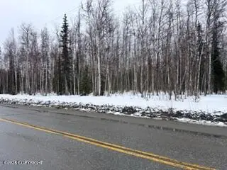 25010 W Long Lake Road, Willow, AK 99688 - #3