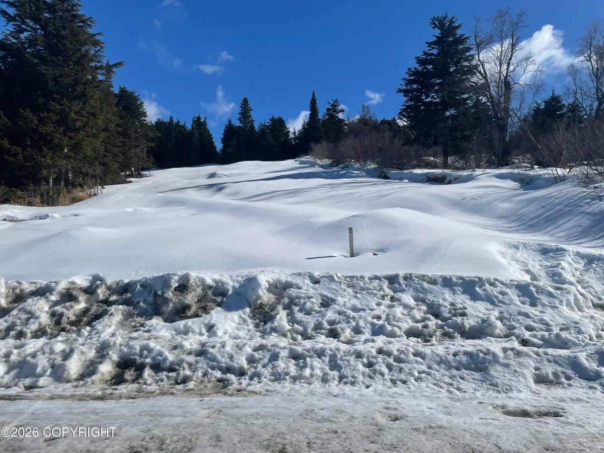 L22 Lost Horizon Drive, Anchorage, AK 99516 - #1