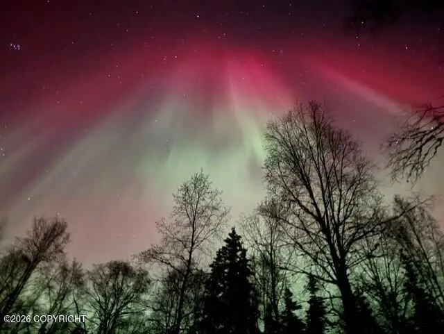 16120 Bading Lane, Willow, AK 99688 - #3