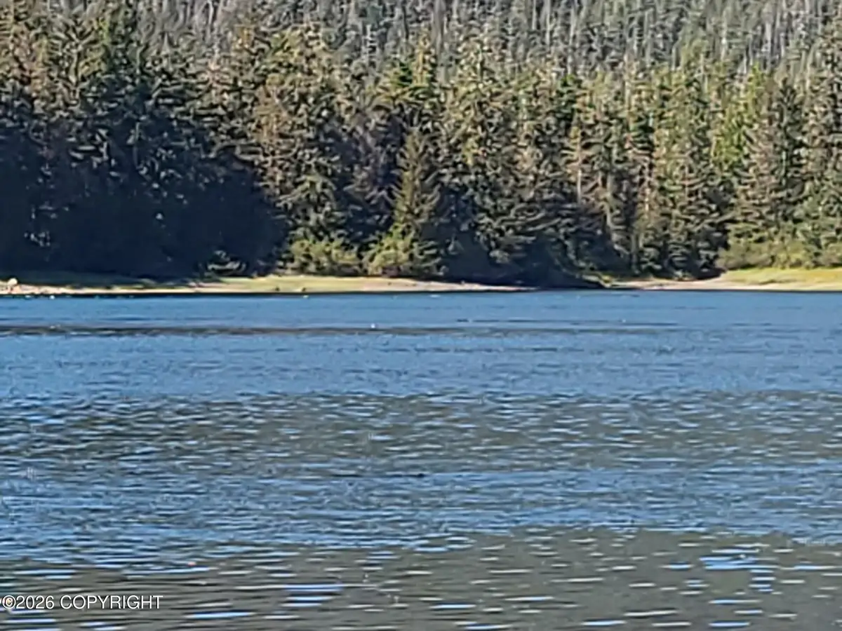 Lot 12 Wrangell Narrows, Petersburg, AK 99833 - #1